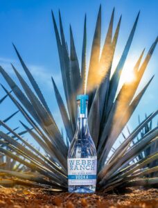 Weber Ranch Vodka Bottle in front of a Blue Agave Plant with sun filtering through the stalks.